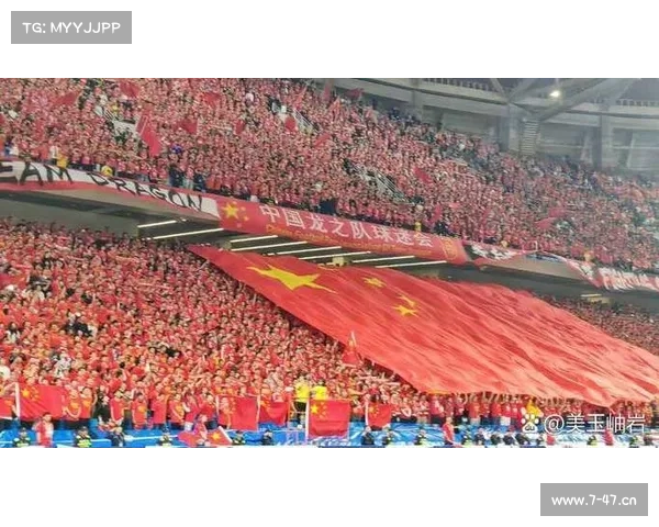 韩国世界杯赛事,韩国世界杯预选赛成绩